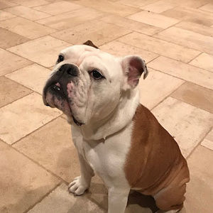 Meet your Posher, Toniann